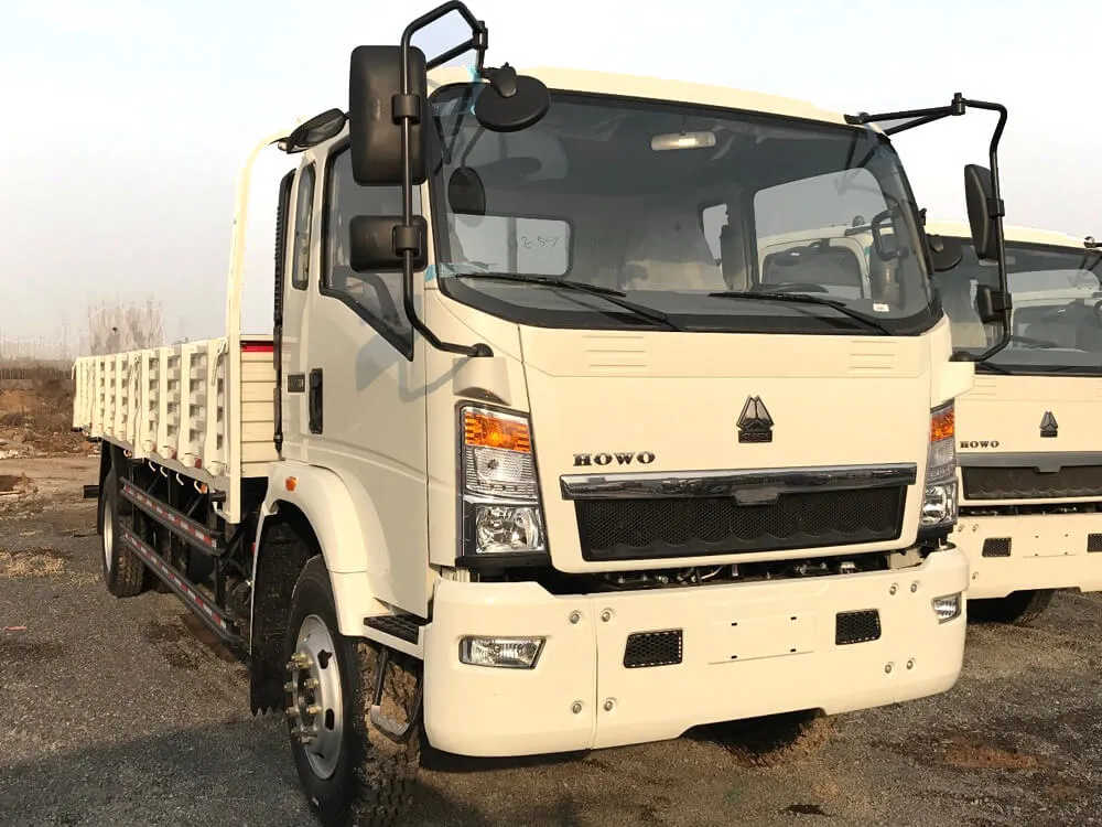 Howo Light Cargo Truck