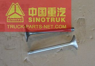 VG1560051001 161560050027 Inlet-outlet Valve