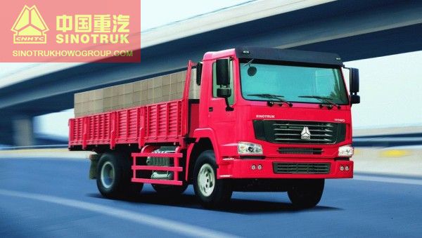 HOWO Cargo Truck 4x2
