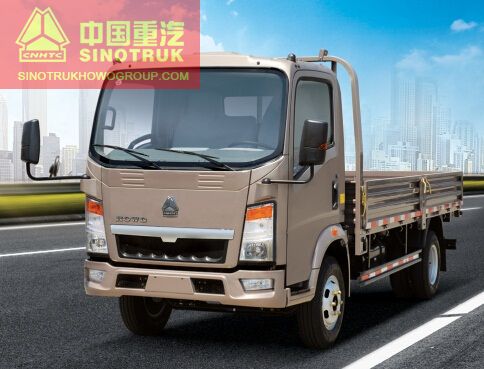 HOWO Light Truck Cargo Truck