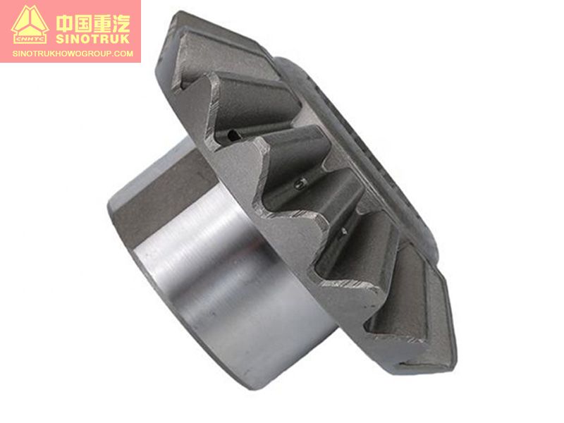 Axle Shaft Gear WG9231320151